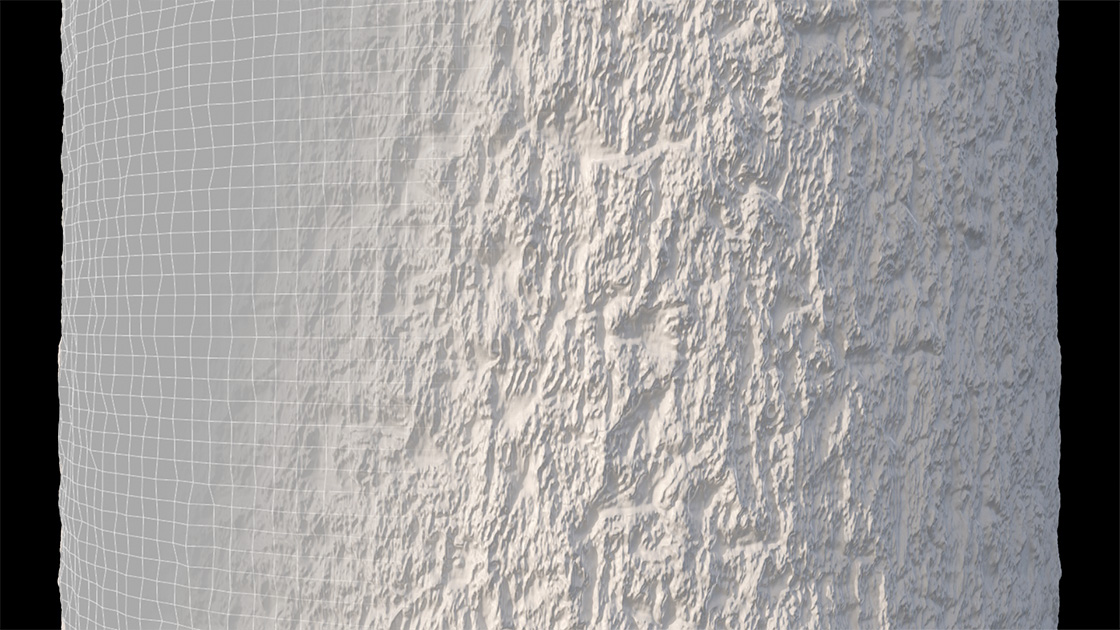 Bark test 01